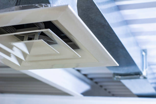 Best HVAC Duct Inspection Services  in Ludington, MI