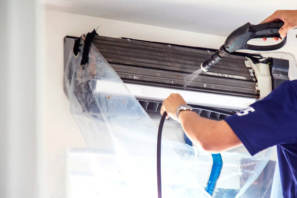 Best Residential Air Duct Cleaning  in Ludington, MI