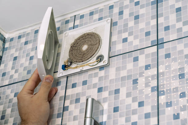 Best General Air Duct Cleaning  in Ludington, MI