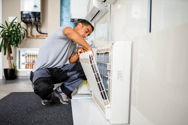Best Local Air Duct Cleaning Services  in Ludington, MI