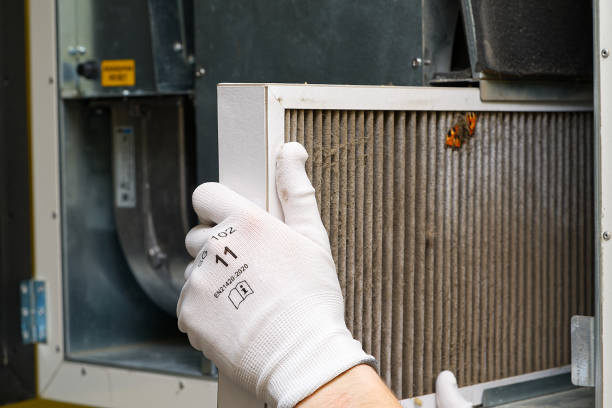 Best Air Duct Cleaning Near Me  in Ludington, MI