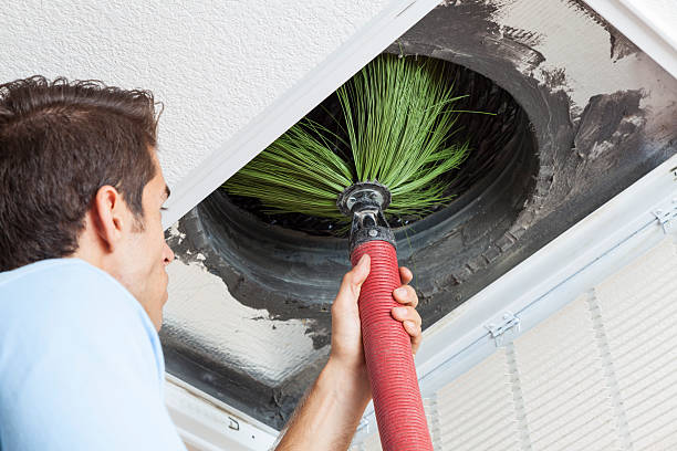 Best Ductwork Cleaning Services  in Ludington, MI